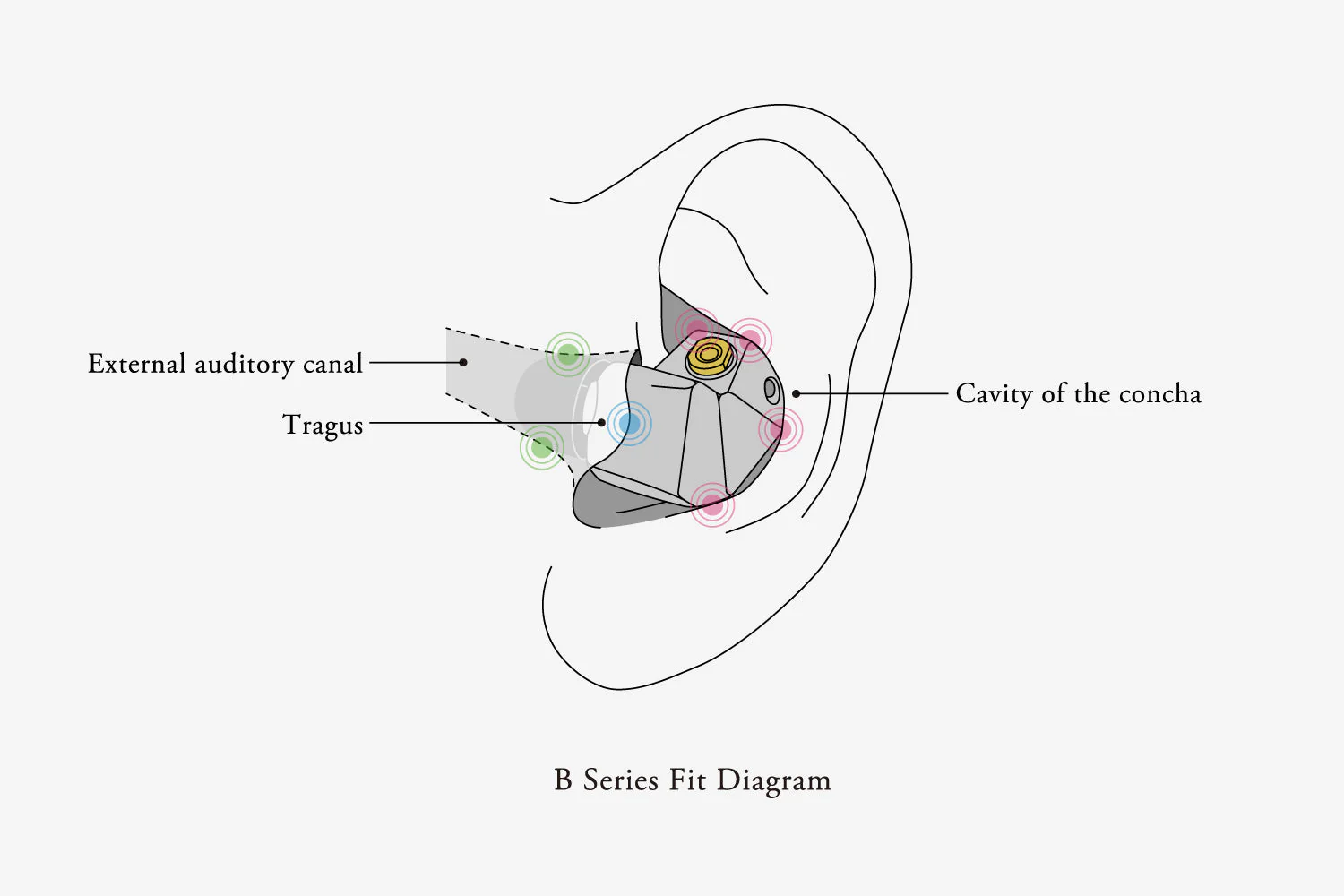 final B3 Balanced Armature IEM (Apos Certified) - Image 7