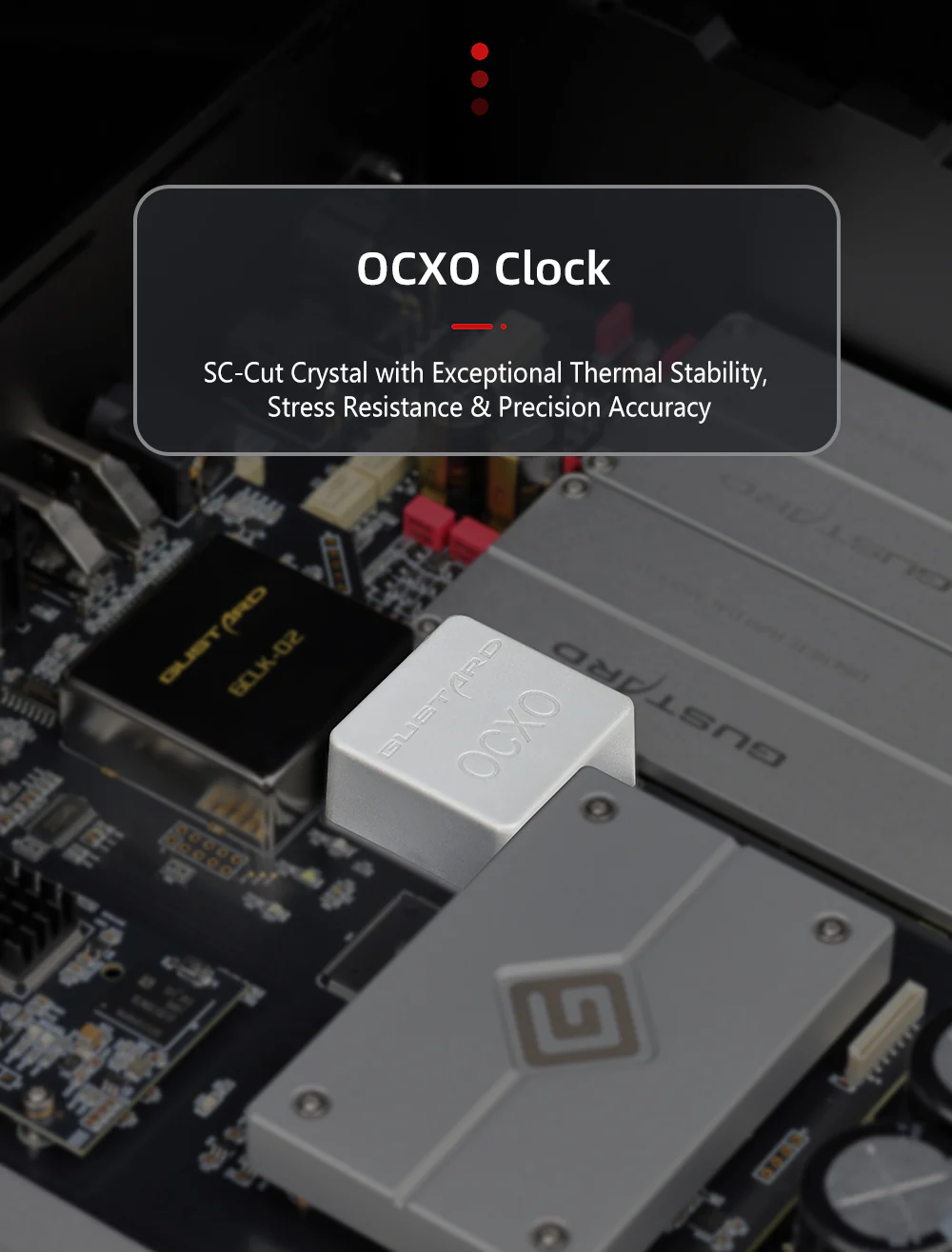 GUSTARD R30 Fully-Discrete R2R Network Streaming DAC - Image 11