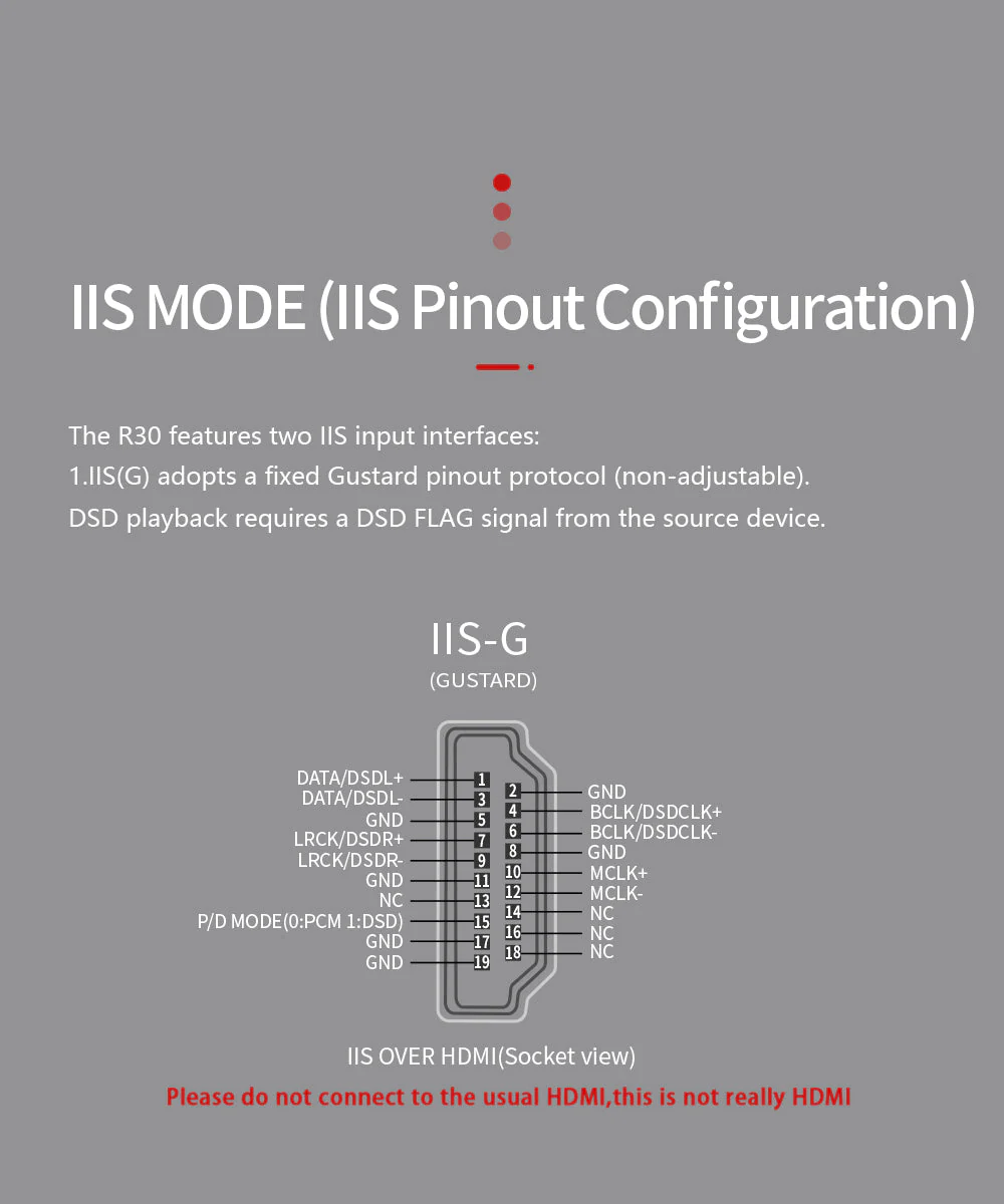 GUSTARD R30 Fully-Discrete R2R Network Streaming DAC - Image 24