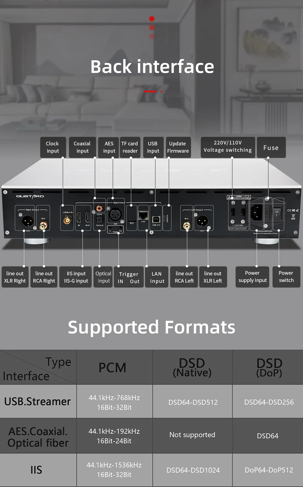 GUSTARD R30 Fully-Discrete R2R Network Streaming DAC - Image 25