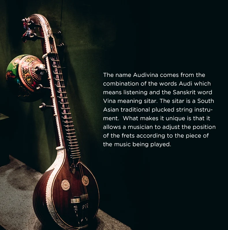 HIFIMAN Audivina LE Studio Headphones - Image 11