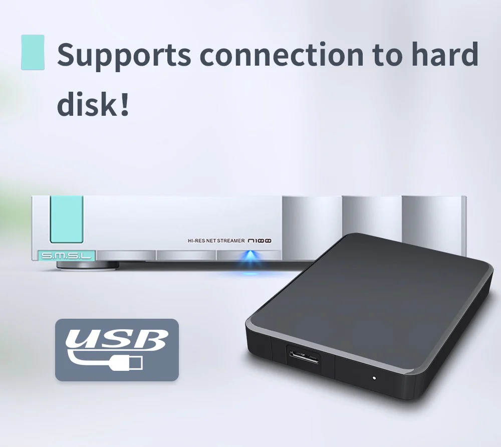 SMSL N100 Hi-Res Net Streamer - Image 9