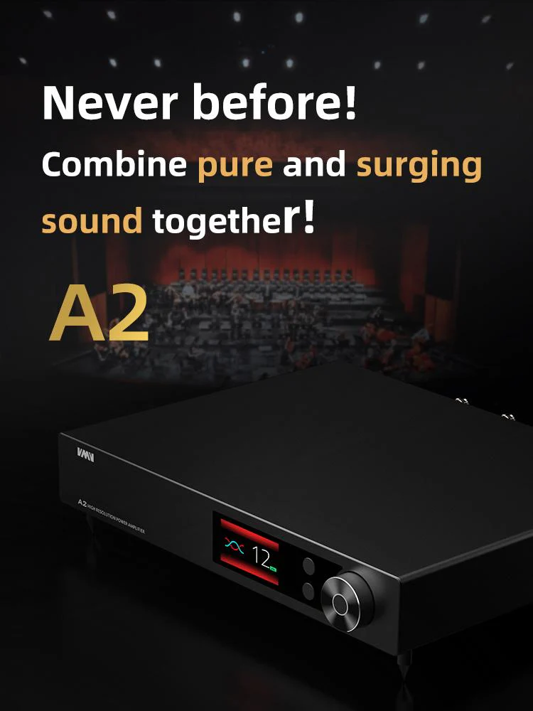 SMSL VMV A2 High Resolution 200Wx2 Power Amplifier (Apos Certified) - Image 5