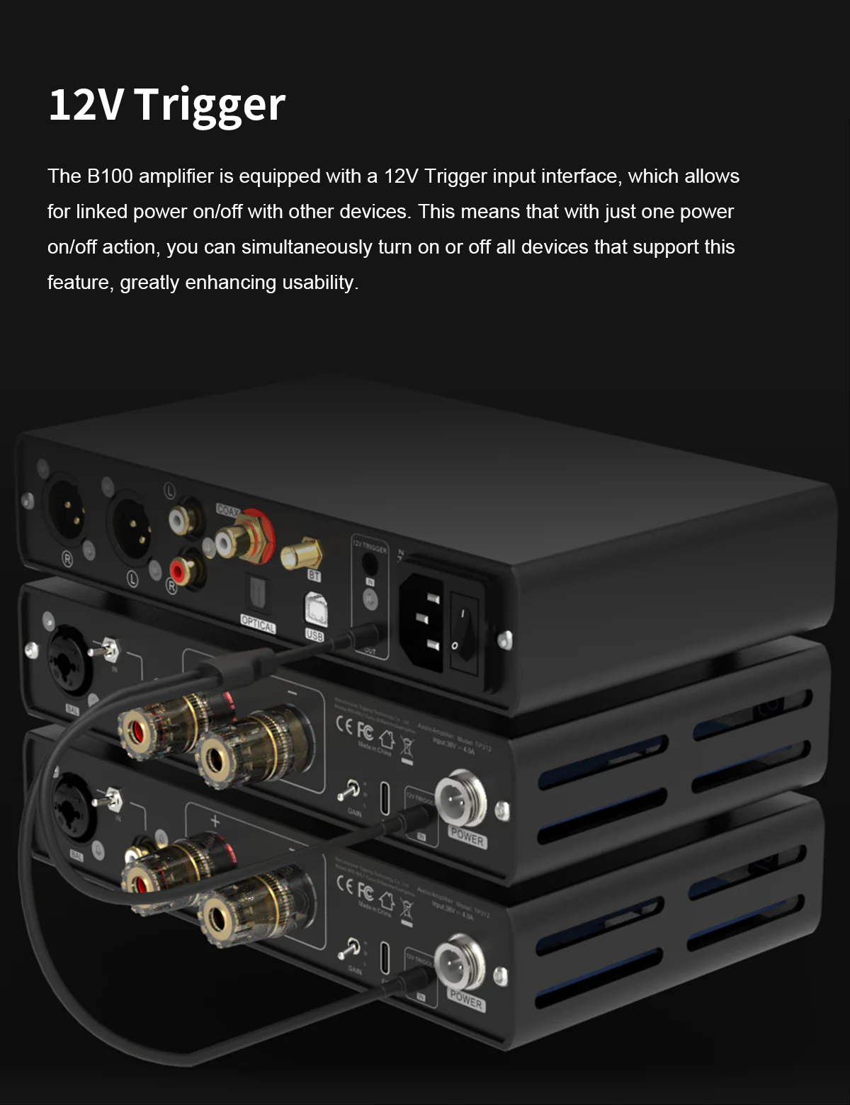 TOPPING B100 Mono Pure Power Amplifier - Image 11