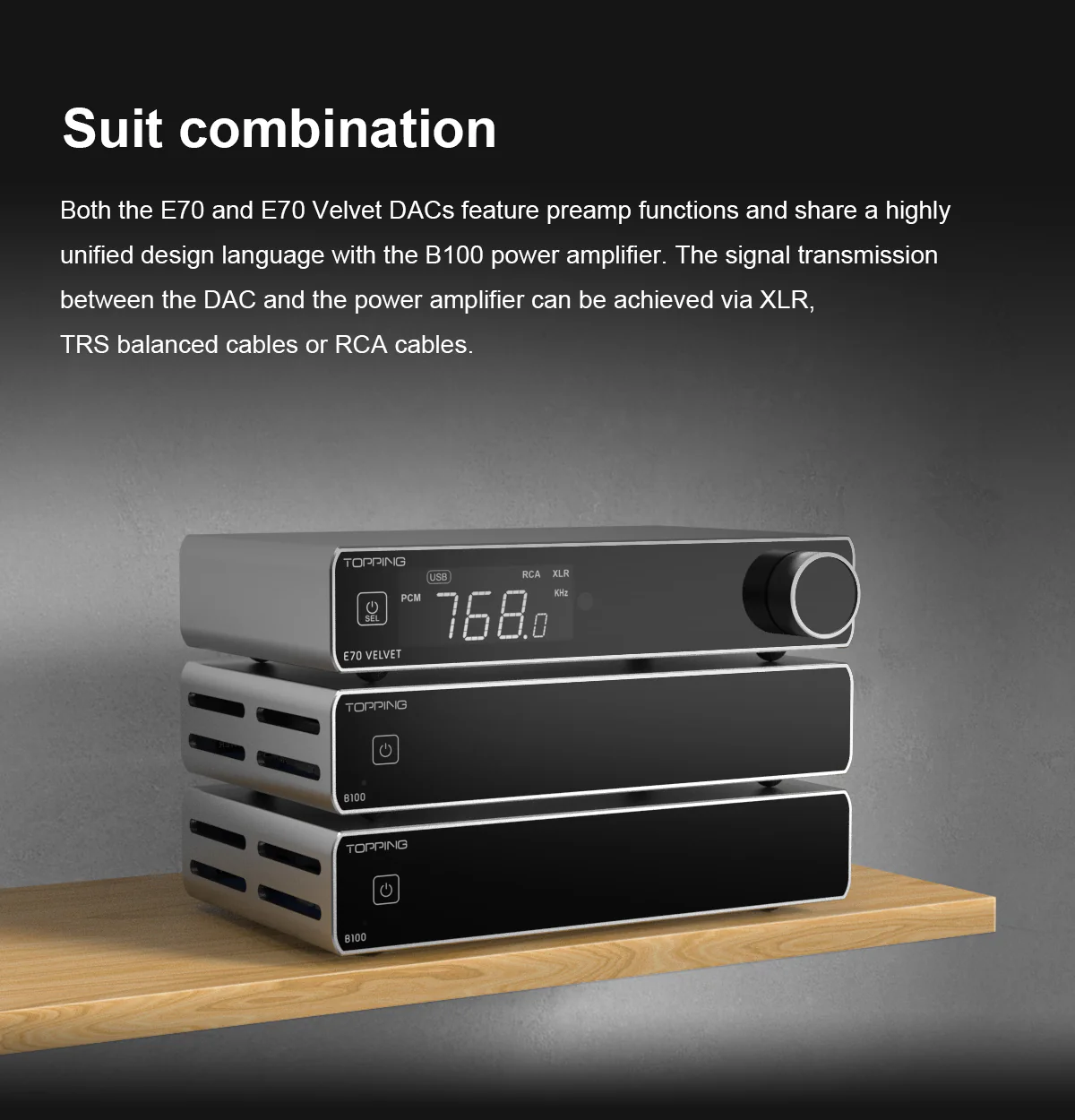 TOPPING B100 Mono Pure Power Amplifier - Image 9