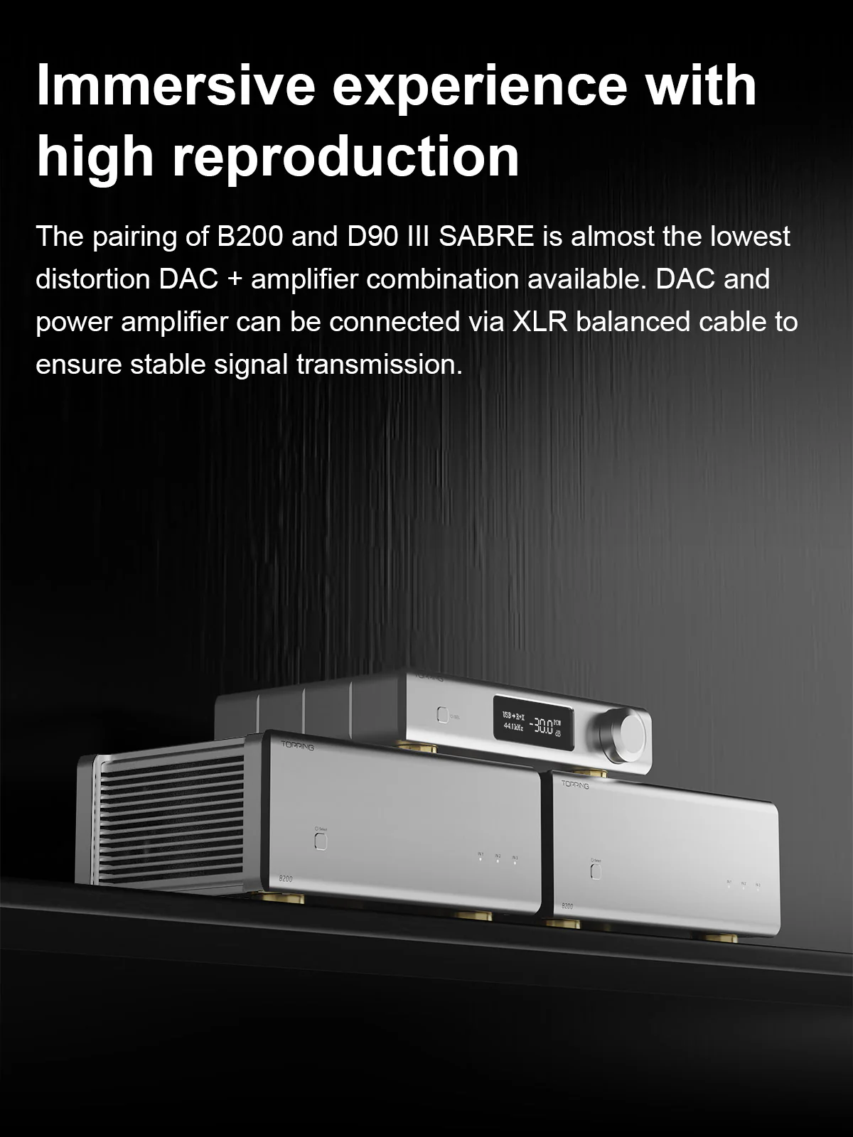 TOPPING B200 Ultra-high Performance Mono Power Amplifier - Image 10