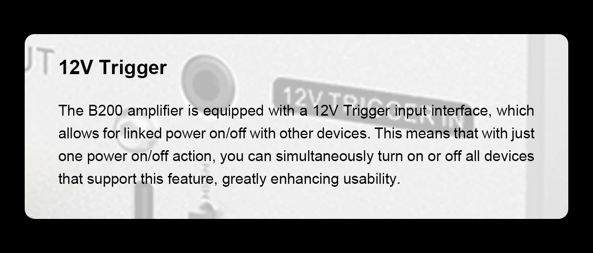 TOPPING B200 Ultra-high Performance Mono Power Amplifier - Image 12