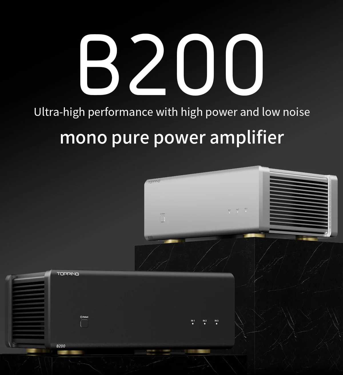 TOPPING B200 Ultra-high Performance Mono Power Amplifier - Image 3