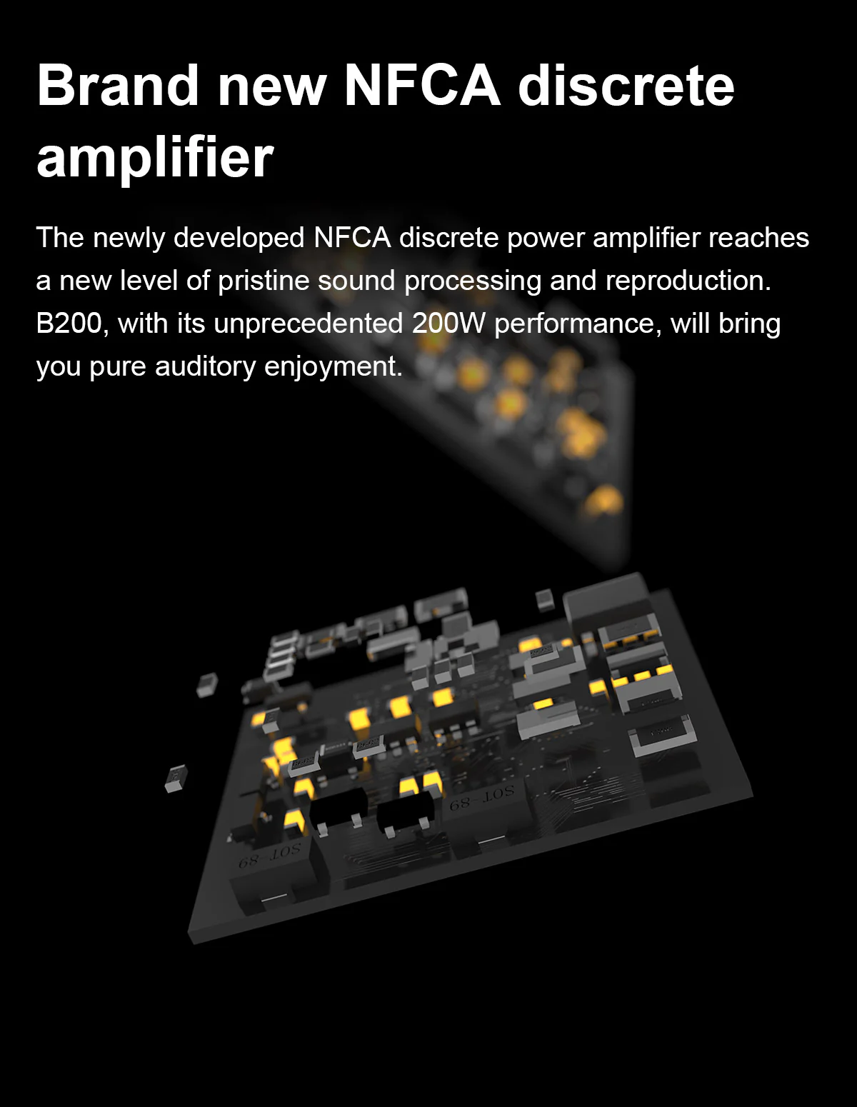 TOPPING B200 Ultra-high Performance Mono Power Amplifier - Image 5