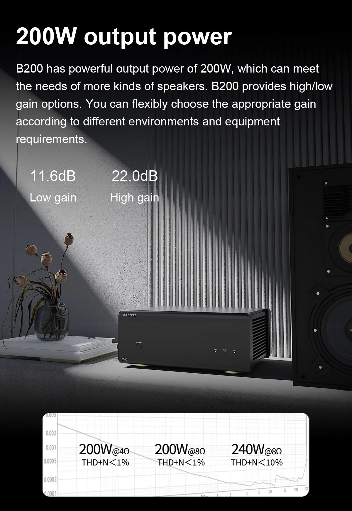 TOPPING B200 Ultra-high Performance Mono Power Amplifier - Image 7