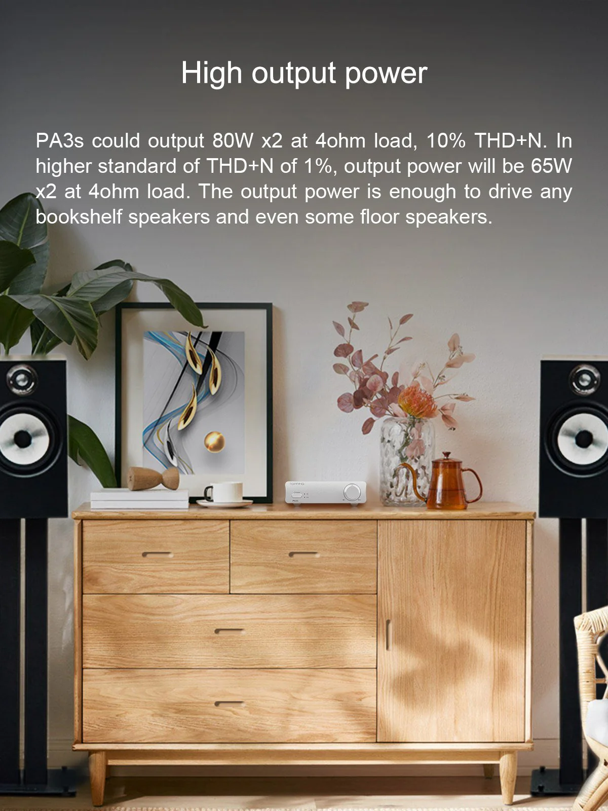 TOPPING PA3s Fully Balanced Class D Amplifier (Apos Certified) - Image 6