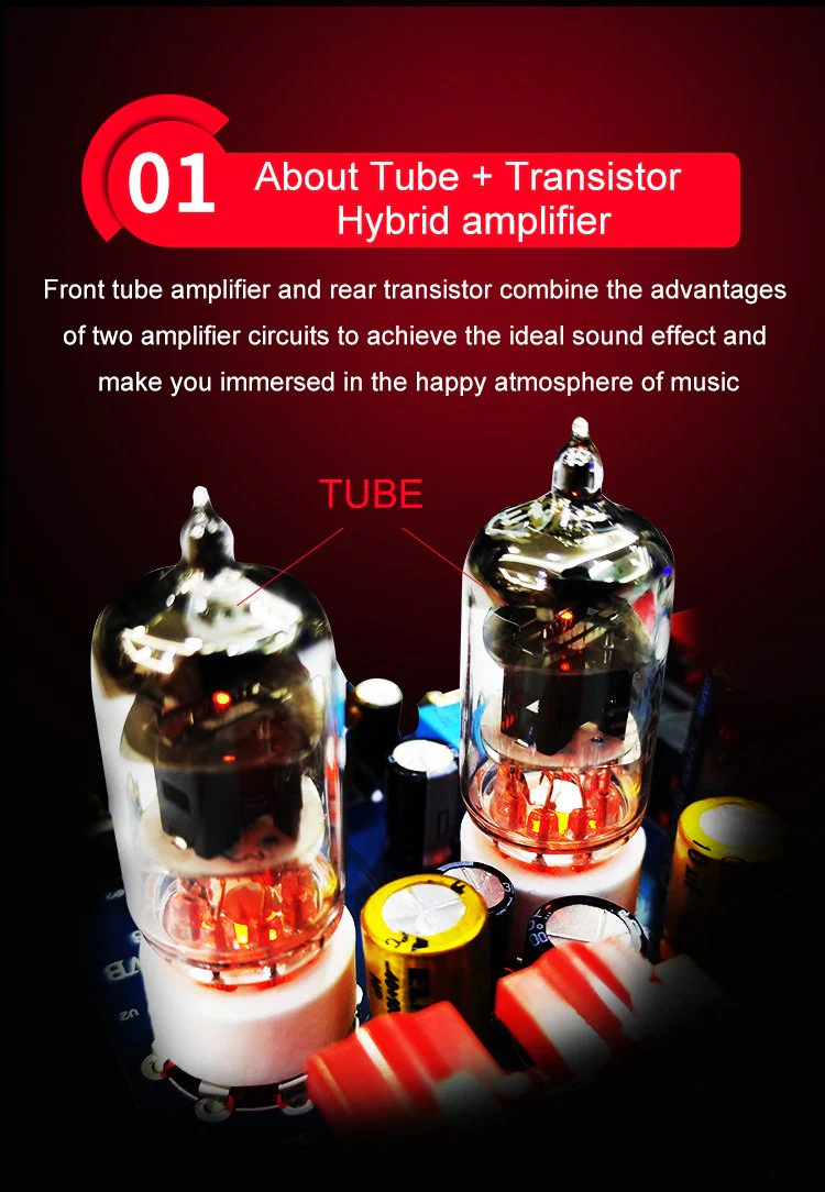 xDuoo MT-602 Tube Class-A Headphone Amplifier (Apos Certified) - Image 3
