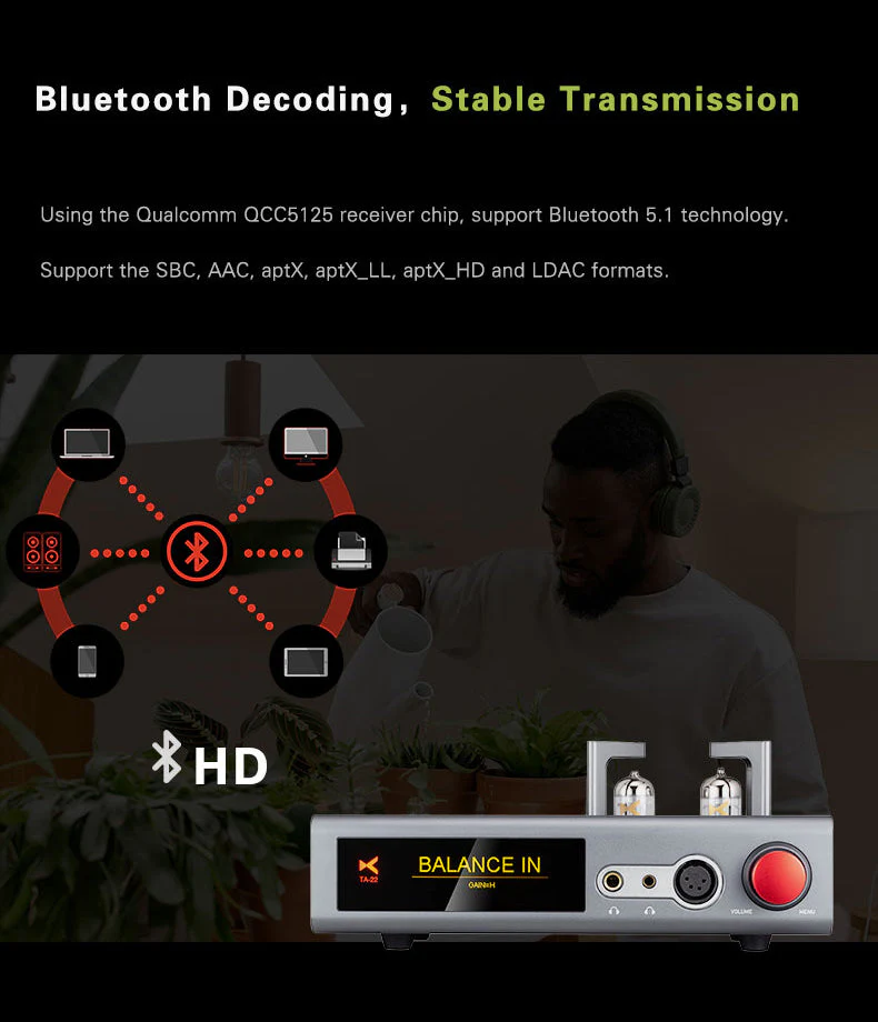 xDuoo TA-22 DAC/Tube Amp (Apos Certified) - Image 5