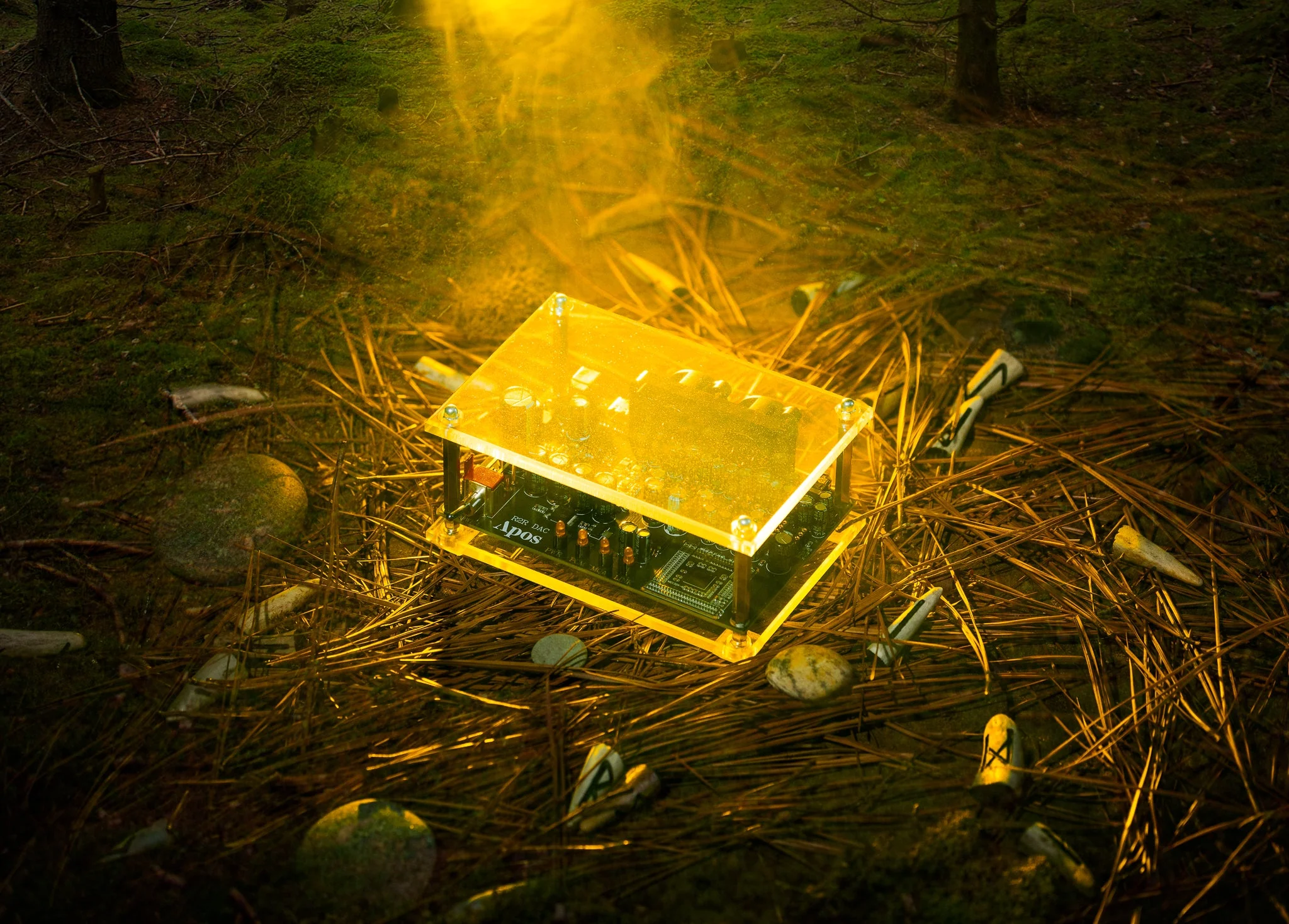 Apos x Community Druid R2R DAC - Image 3