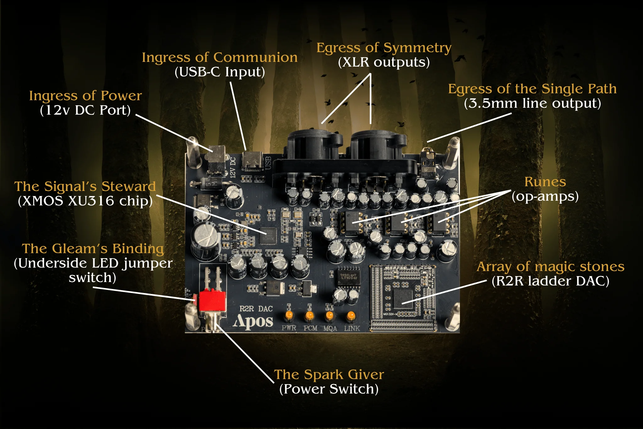 Apos x Community Druid R2R DAC - Image 6