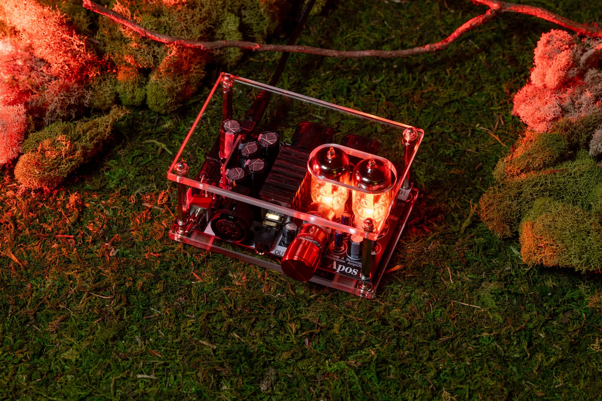 Apos x Community Gremlin Tube Amp - Image 5