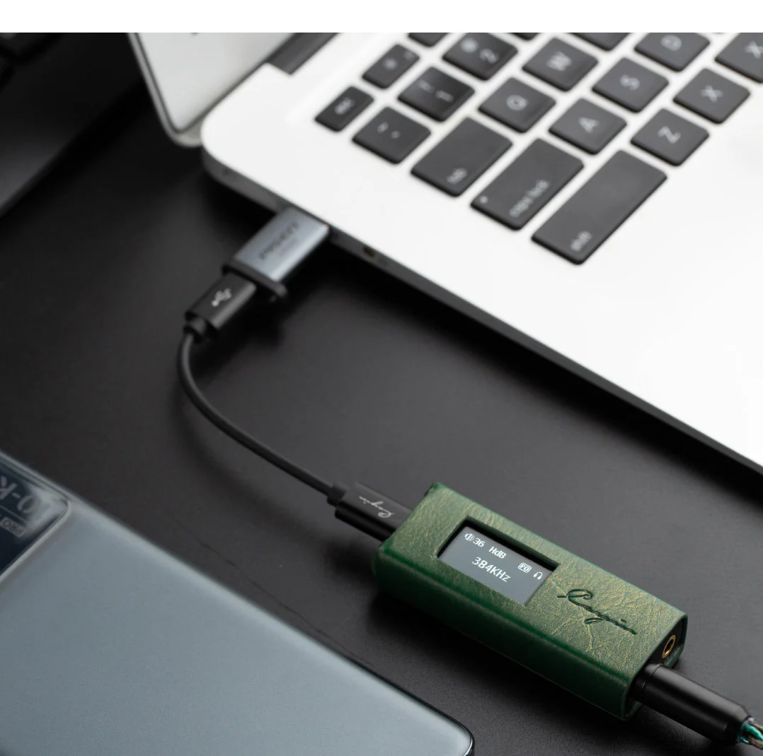 Cayin RU7 1-Bit Resistor Network Portable DAC - Image 13