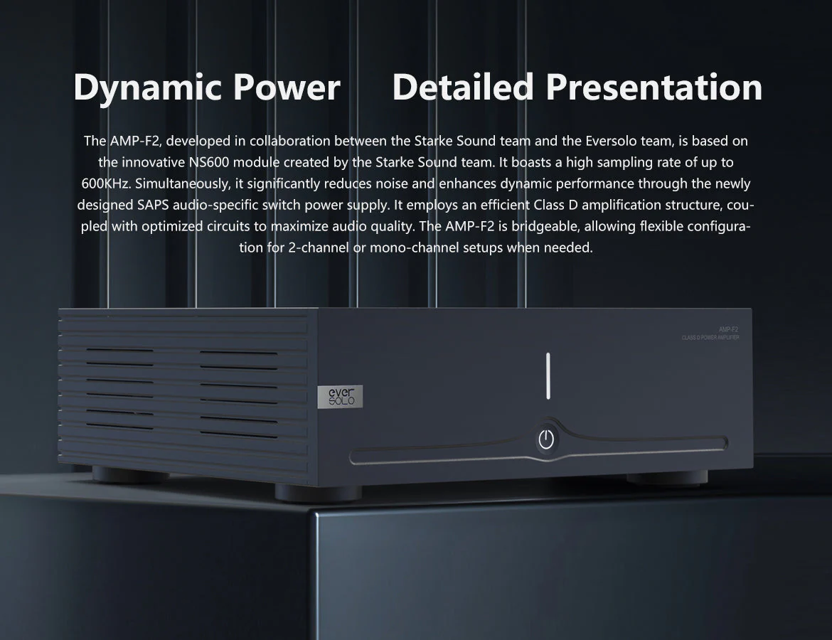 Eversolo AMP-F2 Power Amplifier - Image 2