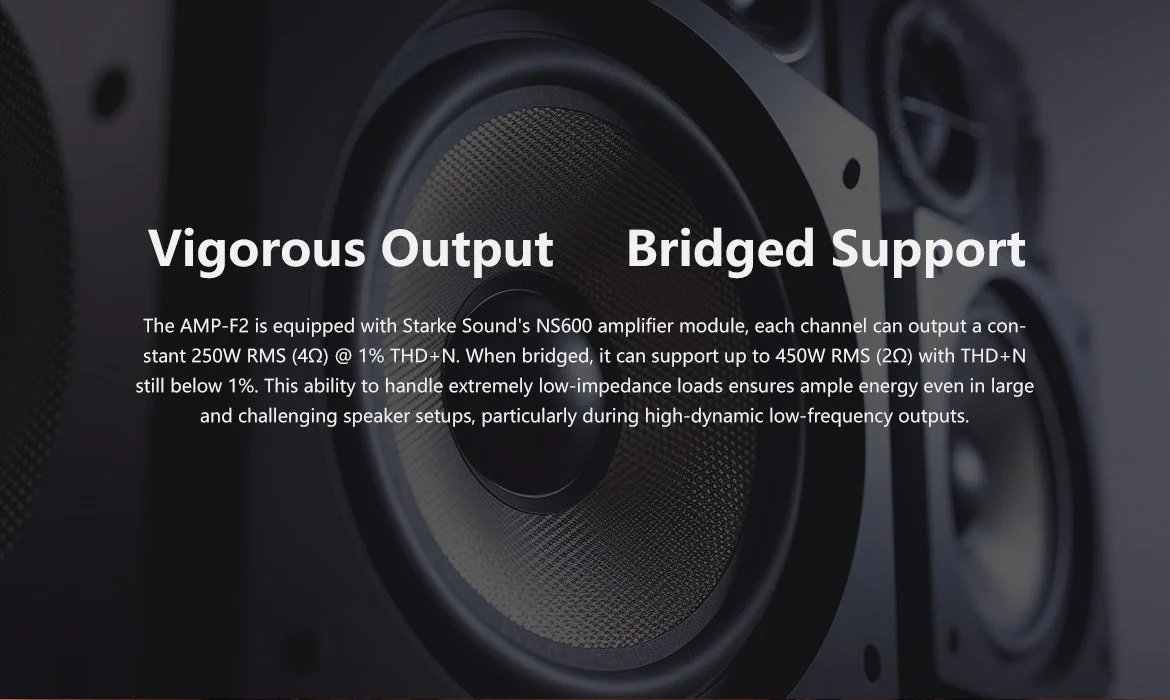 Eversolo AMP-F2 Power Amplifier - Image 3