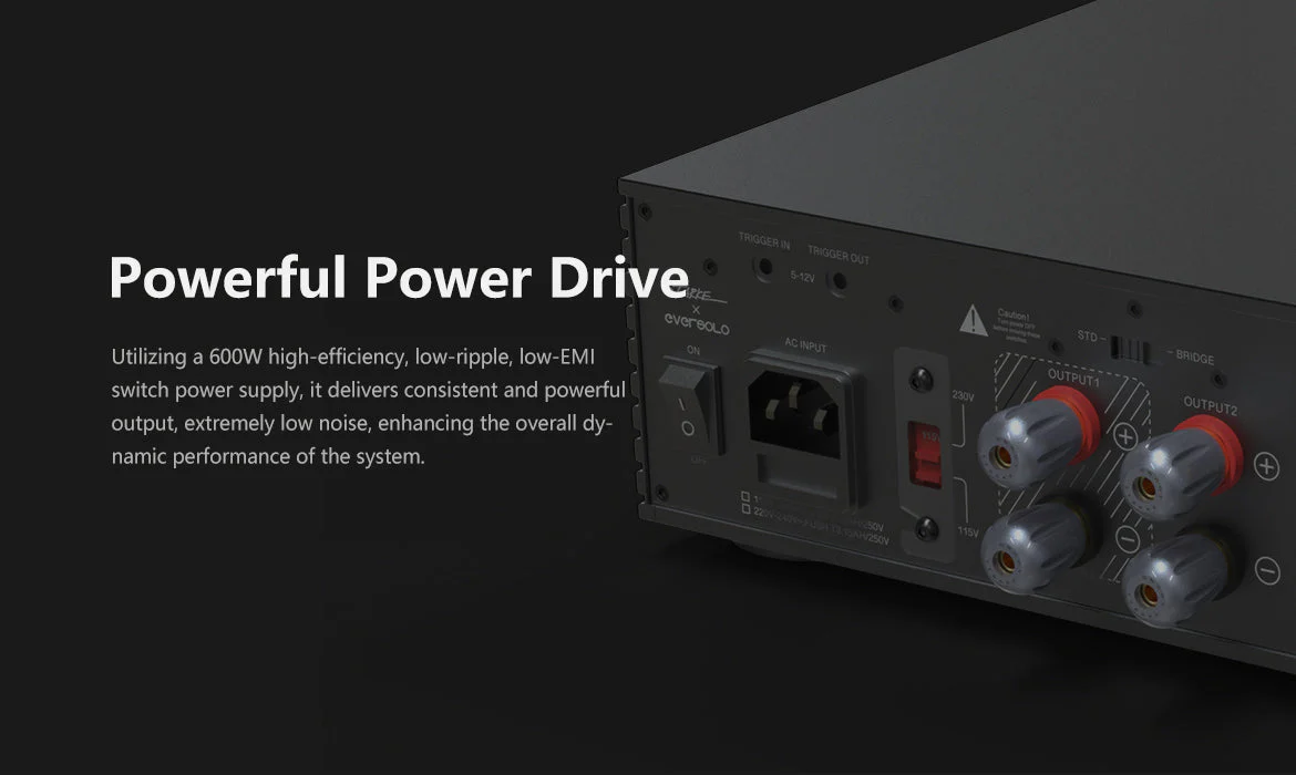 Eversolo AMP-F2 Power Amplifier - Image 5