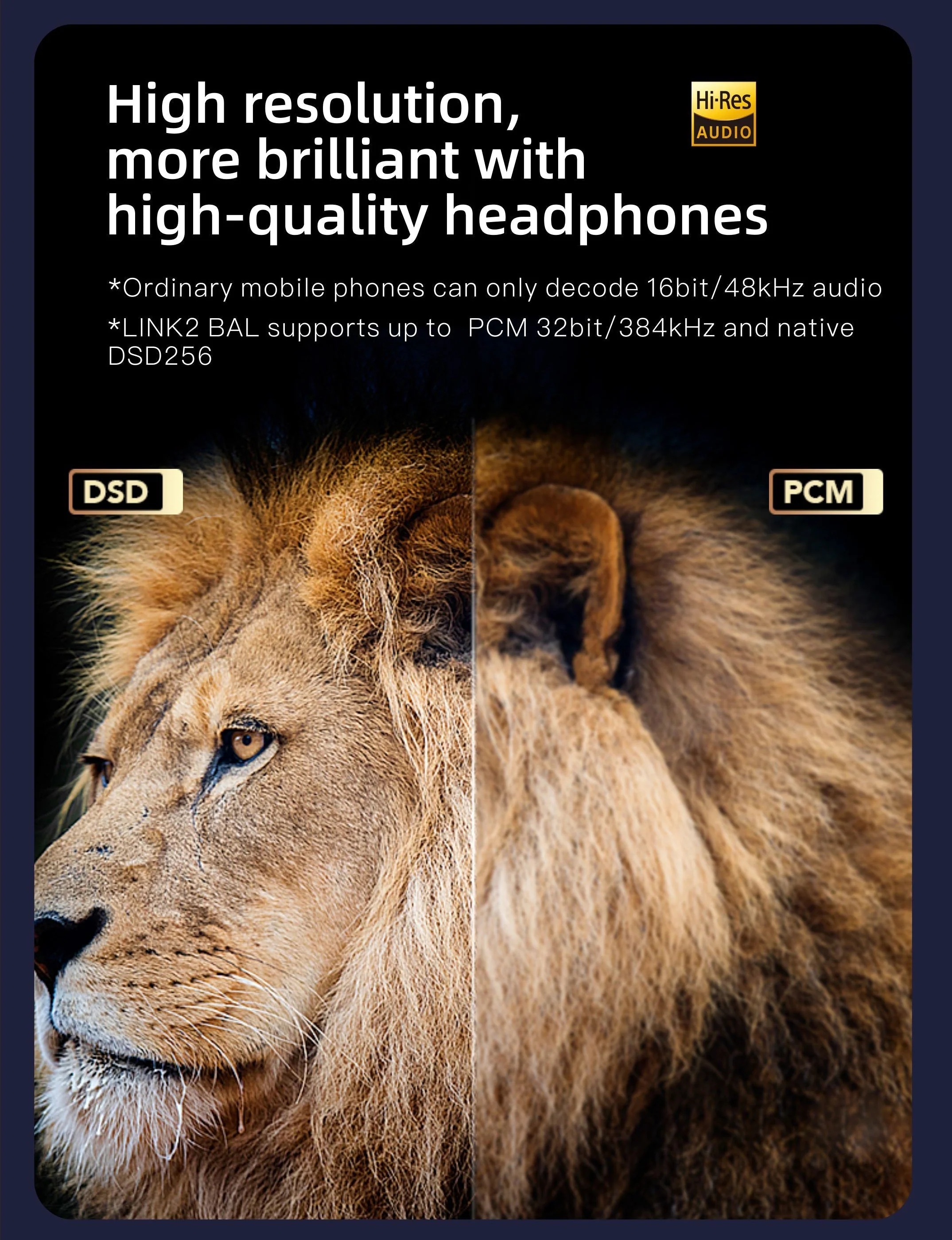 xDuoo Link2 Bal (Link 2 Bal) DAC Headphone Amp - Image 8